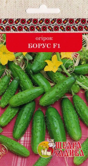 Огірки Борус F1 1г